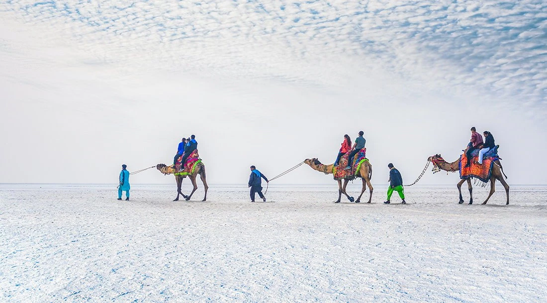 White Rann of Kutch sunset with decorated camel desert culture