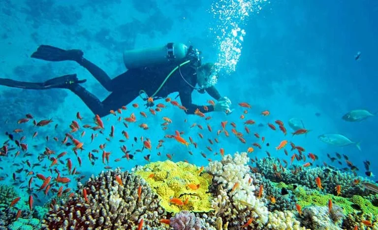 Crystal Clear Turquoise Water at Andaman Islands Beach — Tropical Tour Package