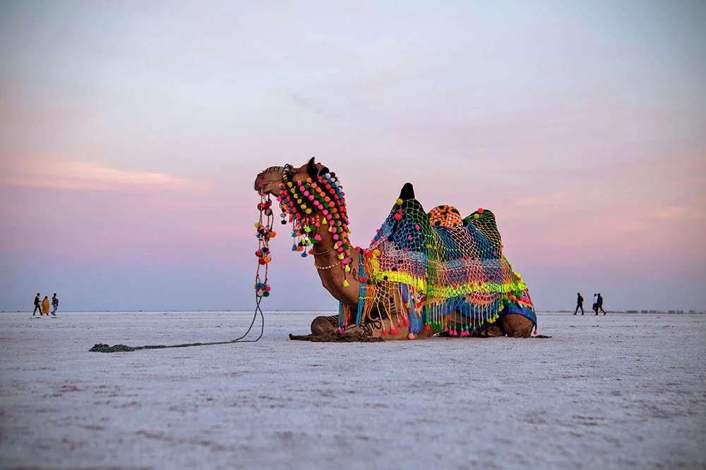 White Rann of Kutch Sunrise — 3N4D Tour Package